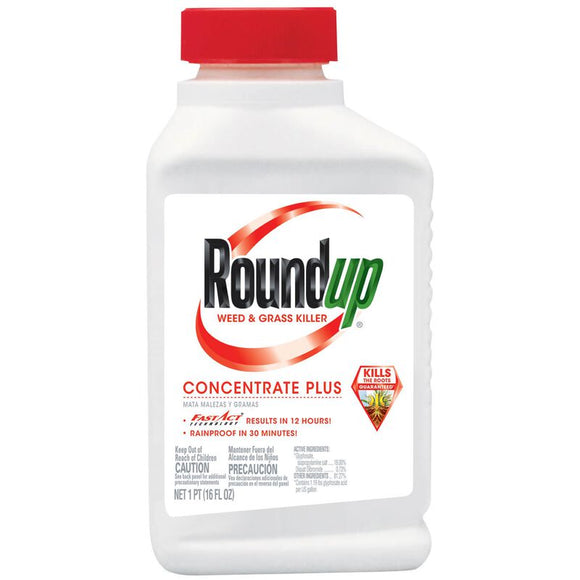 Roundup® Weed & Grass Killer₄ Concentrate (35.2 oz)