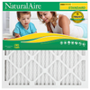 American Air Filter Company NaturalAire Standard Pleated Air Filter