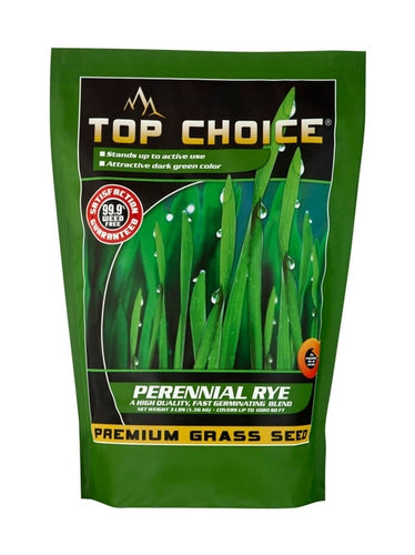 Mountain View Seeds Top Choice Perennial Rye Grass Seed, 10-Pound